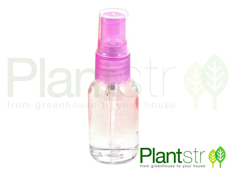 Air Plant Terrarium Micro Mister - 30ml