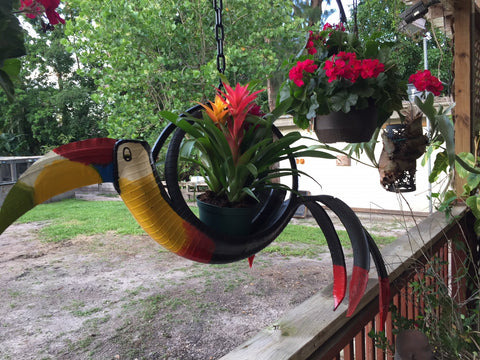 Exotic Lovely Toucan Planter